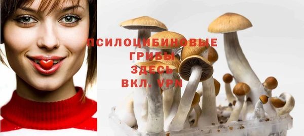кокс Новозыбков