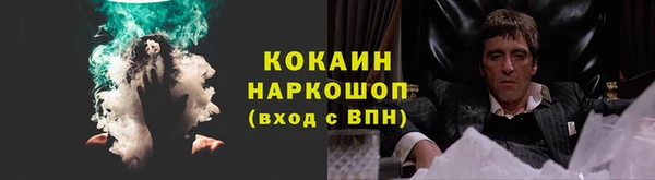 ECSTASY Новодвинск