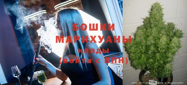 ECSTASY Новодвинск