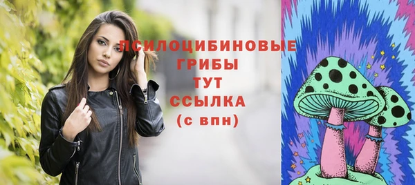 ECSTASY Новодвинск