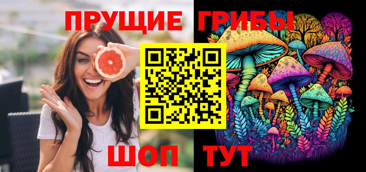 купить закладку  Вход с VPN  Галлюциногенные грибы Magic Shrooms  Павловский Посад  Галлюциногенные грибы Cubensis 