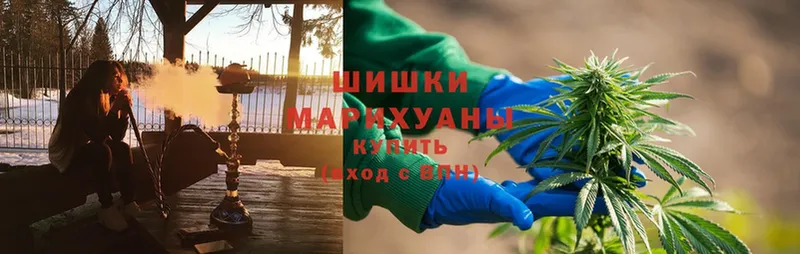 Шишки марихуана Bruce Banner  где можно купить наркотик  Павловский Посад 